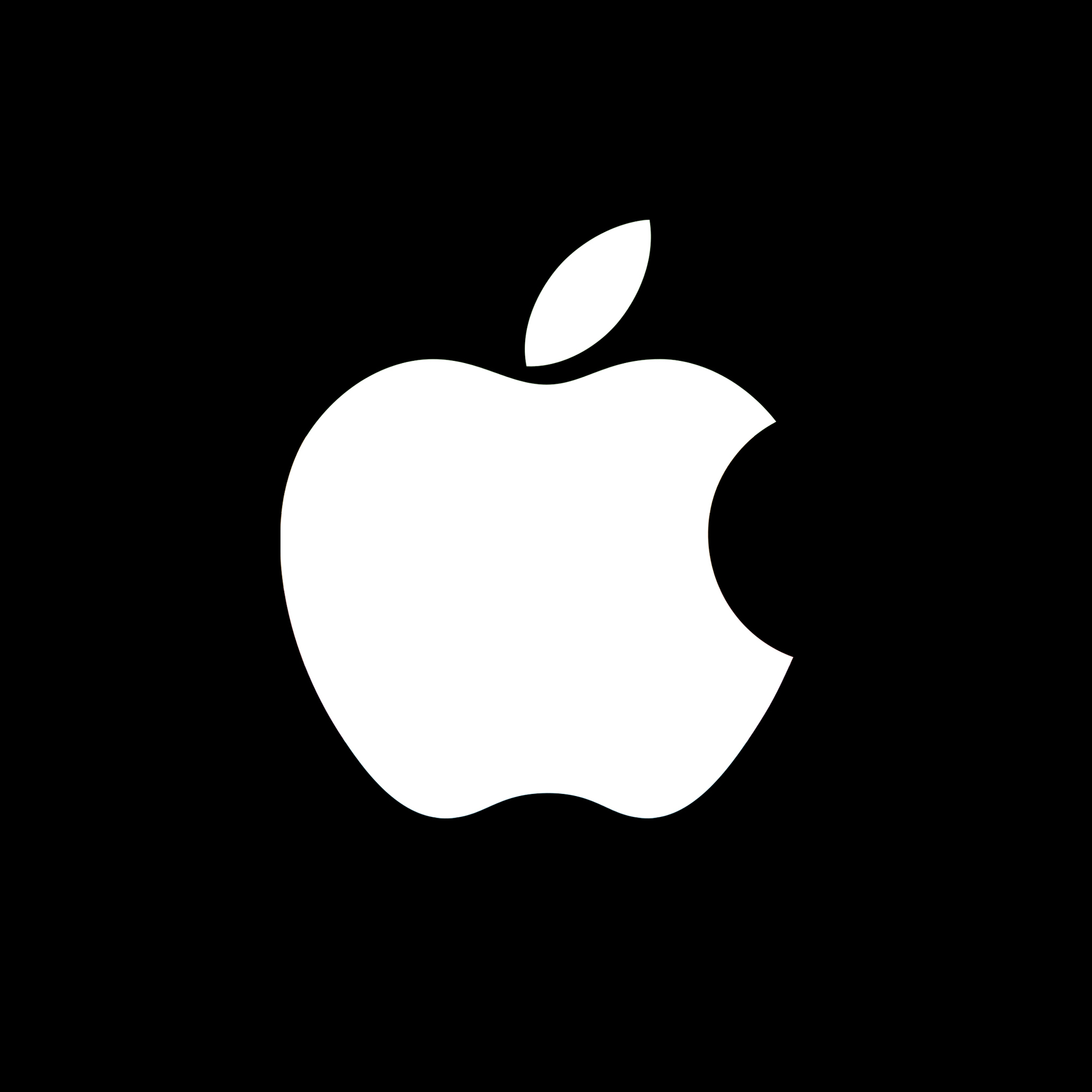 11” iPad Pro logo